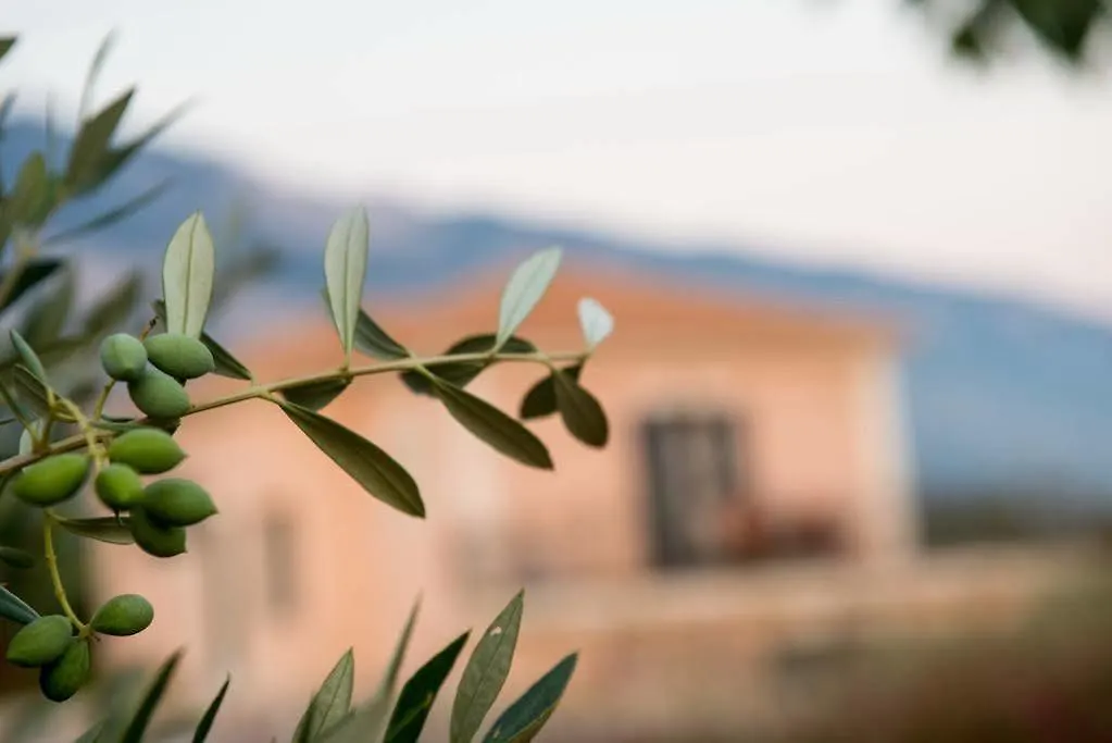 Korallis Villas Livathos  Livathos (Kefalonia)